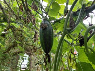 이박농장님의 자유주제 · 자유게시판 작성글 사진