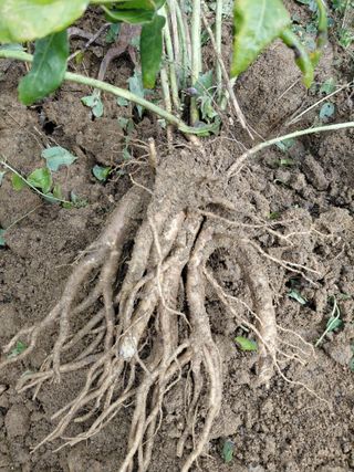 좋은인연원님의 자유주제 · 자유게시판 작성글 사진