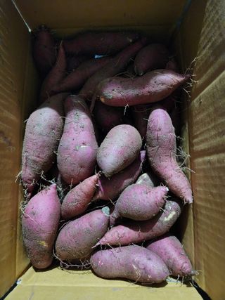 최상길 님의 자유주제 · 자유게시판 작성글 사진