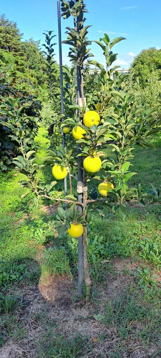 이동준 님의 자유주제 · 자유게시판 작성글 사진