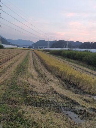 옥천서화농님의 자유주제 · 자유게시판 작성글 사진