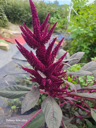 소병찬님의 자유주제 · 사진전 작성글 사진