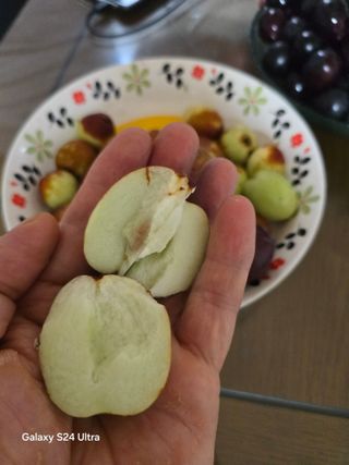 소병찬님의 자유주제 · 사진전 작성글 사진