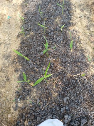 이영자 님의 자유주제 · 자유게시판 작성글 사진