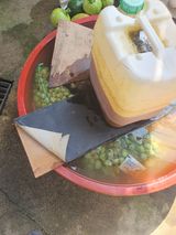 팜모닝 자유주제·자유게시판 게시글 이미지