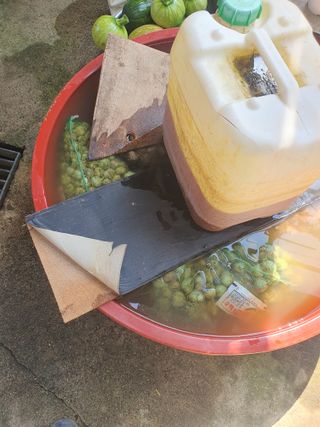 옥천서화농님의 자유주제 · 자유게시판 작성글 사진