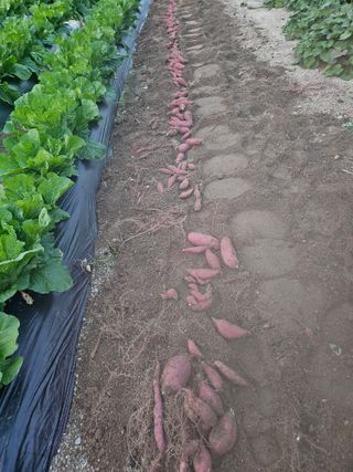 윤재하님의 자유주제 · 자유게시판 작성글 사진