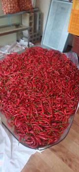 팜모닝 자유주제·자유게시판 게시글 이미지