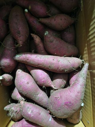 최상길 님의 자유주제 · 자유게시판 작성글 사진