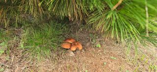 김덕남님의 자유주제 · 자유게시판 작성글 사진