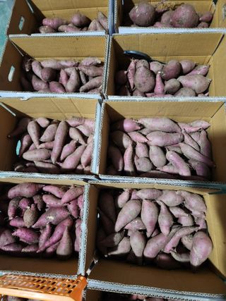 최상길 님의 자유주제 · 자유게시판 작성글 사진