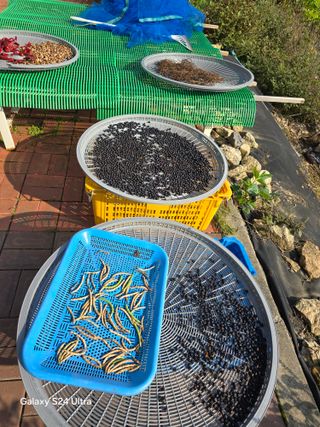 소병찬님의 자유주제 · 사진전 작성글 사진