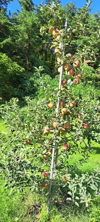 이동준 님의 자유주제 · 자유게시판 작성글 사진