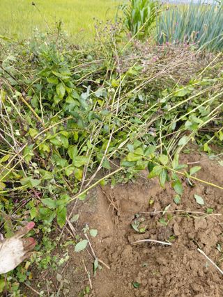 좋은인연원님의 자유주제 · 자유게시판 작성글 사진