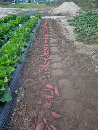 윤재하님의 자유주제 · 자유게시판 작성글 사진