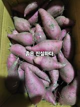 팜모닝 자유주제·자유게시판 게시글 이미지