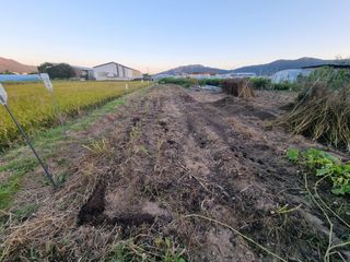 백석읍오산3리조남범님의 마늘 · 토양준비 작성글 사진