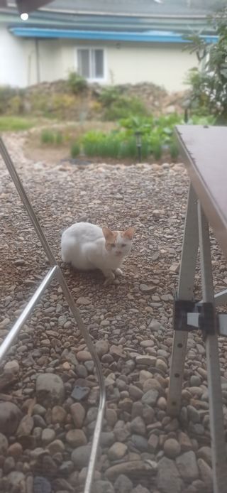 초보퍼머5도2촌준비님의 자유주제 · 자유게시판 작성글 사진