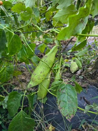 배동연님의 자유주제 · 자유게시판 작성글 사진