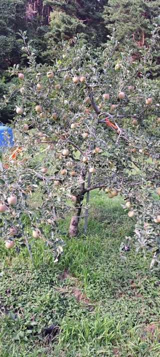 이동준 님의 자유주제 · 자유게시판 작성글 사진