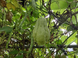 이박농장님의 자유주제 · 자유게시판 작성글 사진