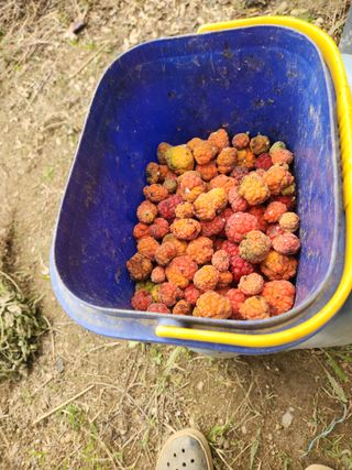 각운님의 자유주제 · 자유게시판 작성글 사진