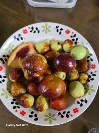 소병찬님의 자유주제 · 사진전 작성글 사진