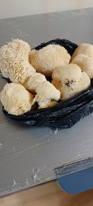 노목산장가든님의 자유주제 · 자유게시판 작성글 사진