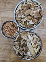 팜모닝 자유주제·자유게시판 게시글 이미지