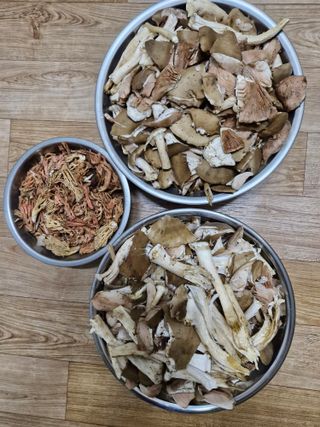 낙엽교목류21691님의 자유주제 · 자유게시판 작성글 사진