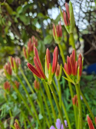 엘림농장님의 자유주제 · 사진전 작성글 사진