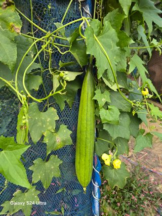 소병찬님의 자유주제 · 사진전 작성글 사진