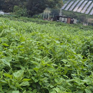 박흠님의 자유주제 · 자유게시판 작성글 사진