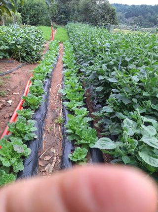 김용환님의 자유주제 · 자유게시판 작성글 사진