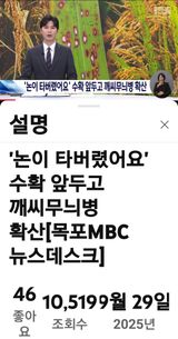 팜모닝 자유주제·자유게시판 게시글 이미지