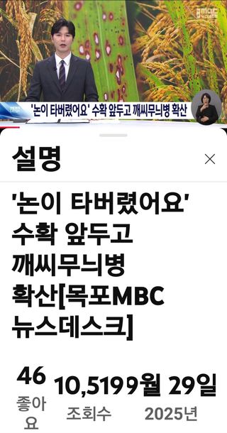 권리를위한투쟁님의 자유주제 · 자유게시판 작성글 사진