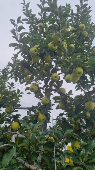 조동원님의 자유주제 · 사진전 작성글 사진