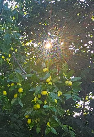 안길원님의 자유주제 · 자유게시판 작성글 사진