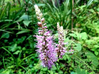 안길원님의 자유주제 · 자유게시판 작성글 사진