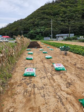 osm님의 자유주제 · 자유게시판 작성글 사진