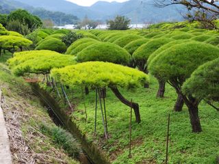 이창신님의 자유주제 · 자유게시판 작성글 사진