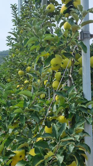 조동원님의 자유주제 · 사진전 작성글 사진