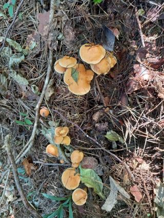 연향님의 자유주제 · 자유게시판 작성글 사진