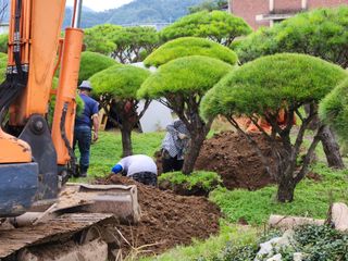 이창신님의 자유주제 · 자유게시판 작성글 사진