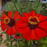 팜모닝 자유주제·자유게시판 게시글 이미지