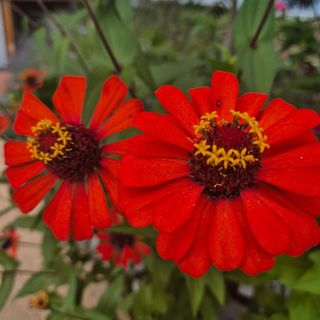 안길원님의 자유주제 · 자유게시판 작성글 사진