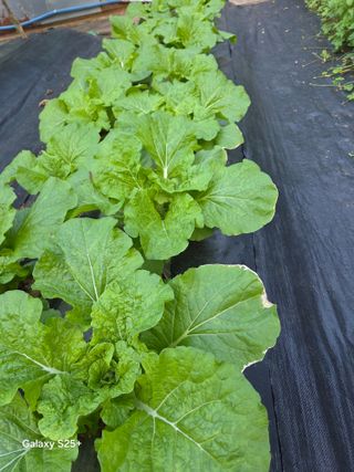 박기식 님의 자유주제 · 자유게시판 작성글 사진