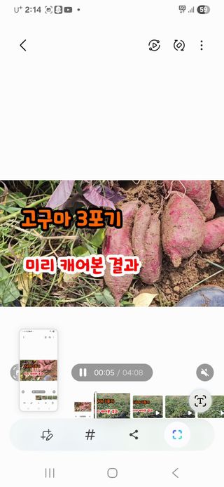 김황기님의 자유주제 · 자유게시판 작성글 사진