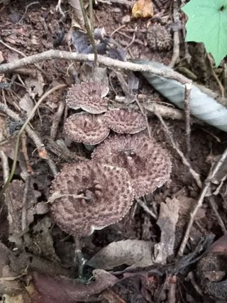 연향님의 자유주제 · 자유게시판 작성글 사진