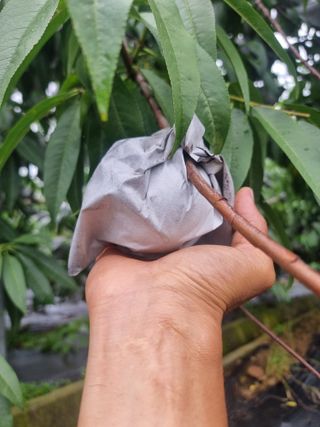 정영기대산축산농부♡님의 자유주제 · 자유게시판 작성글 사진